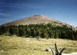 View of Baldy Summit